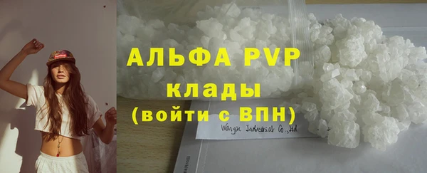 шишки Покачи