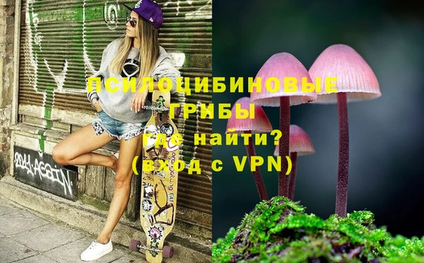 мдпв Абинск