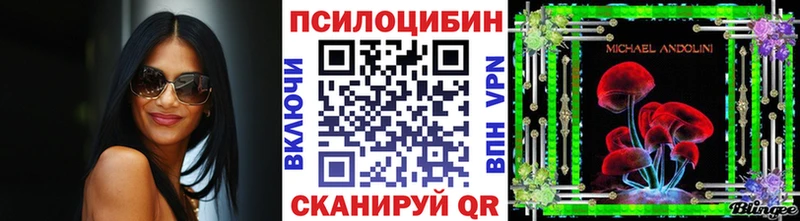 Псилоцибиновые грибы Psilocybe  закладки  Истра 