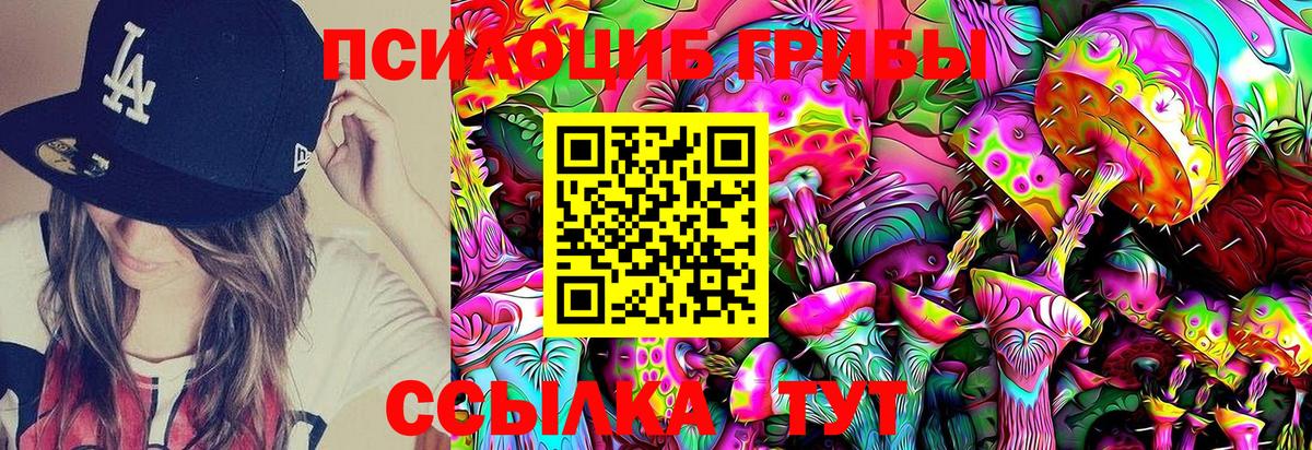Псилоцибиновые грибы Psilocybine cubensis Истра