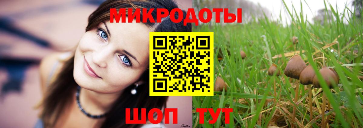 Истра  Галлюциногенные грибы прущие грибы  Вход с VPN 