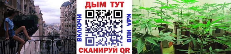 Бошки марихуана марихуана Истра